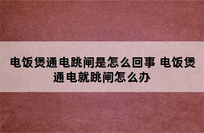 电饭煲通电跳闸是怎么回事 电饭煲通电就跳闸怎么办